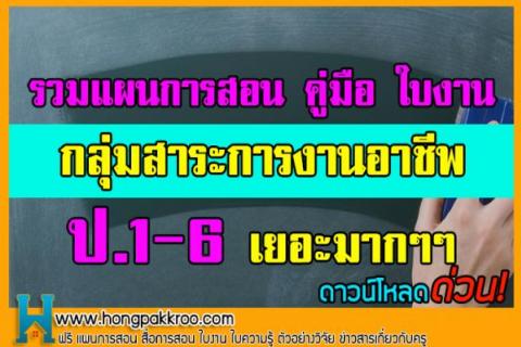 รวมแผนการสอน คู่มือ ใบงาน กลุ่มสาระการงานอาชีพ ป.1-6 เยอะมากๆๆ