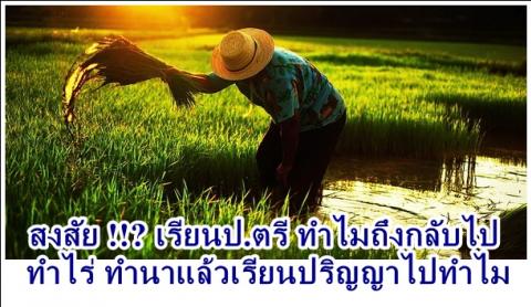 สงสัย !!? เรียนป.ตรี ทำไมถึงกลับไป ทำไร่ แล้วเรียนปริญญาไปทำไม !?