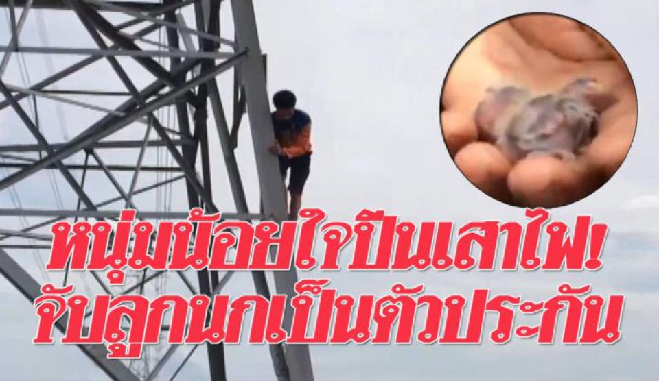 ยายไม่ให้เงิน! หนุ่มน้อยใจ ปีนเสาไฟ สูง 45 เมตร จับลูกนก 2 ตัวเป็นตัวประกัน