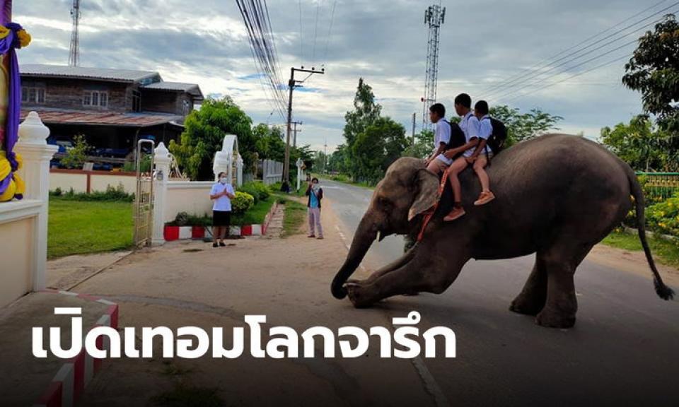 ขี่ช้างไปโรงเรียน นักเรียนจัดเต็ม เปิดเทอมทั้งที ต้องเอาให้โลกได้จารึก