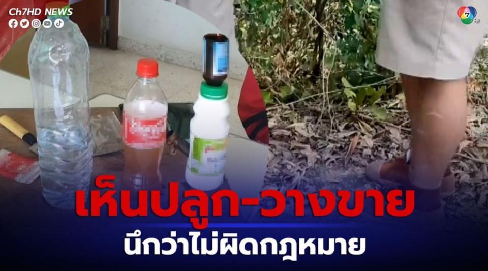 รวบ 3 นักเรียนชาย หนีเรียนเข้าป่า สูบกัญชา-ดื่มน้ำท่อม