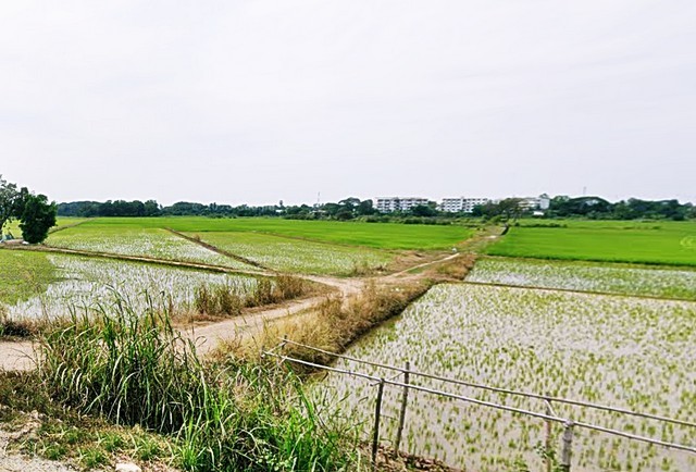 2 ขาย ที่ดิน ที่ดิน พิจิตร ชั้นทั้งหมด 1 ชั้น พิจิตร    เมืองพิจิตร
