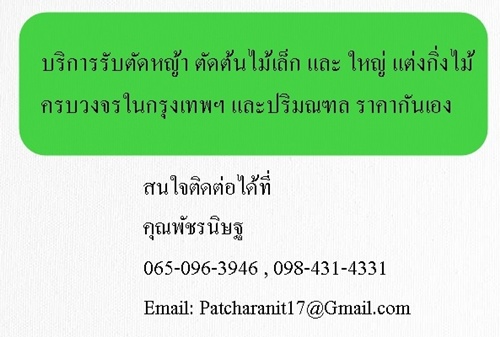 บริการรับตัดหญ้า ตัดต้นไม้เล็ก และ ใหญ่ แต่งกิ่งไม้ ครบวงจรในกรุงเทพฯ และปริมณฑล ราคากันเอง