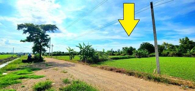 ขายที่ดิน คลอง 12 หนองเสือ 200 ตรว ติดถนน 8 ม. เหมาะปลูกบ้านสวน ทำเกษตรพอเพียงได้ ทำโกดัง อยู่ใกล้แหล่งชุมชน