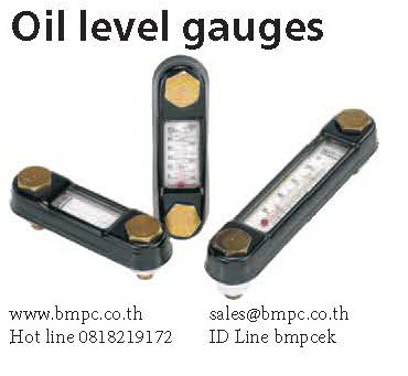 Steel oil level gauge, แท่งมองระดับน้ำมัน Steel oil level gauge, แท่งมองระดับน้ำมัน
